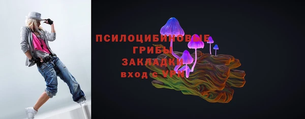 ALPHA PVP Краснослободск