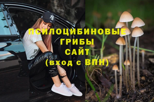 2c-b Красноперекопск
