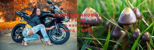 ALPHA PVP Краснослободск